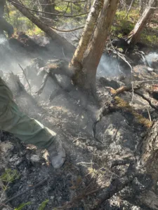DNR reduces firefighter numbers